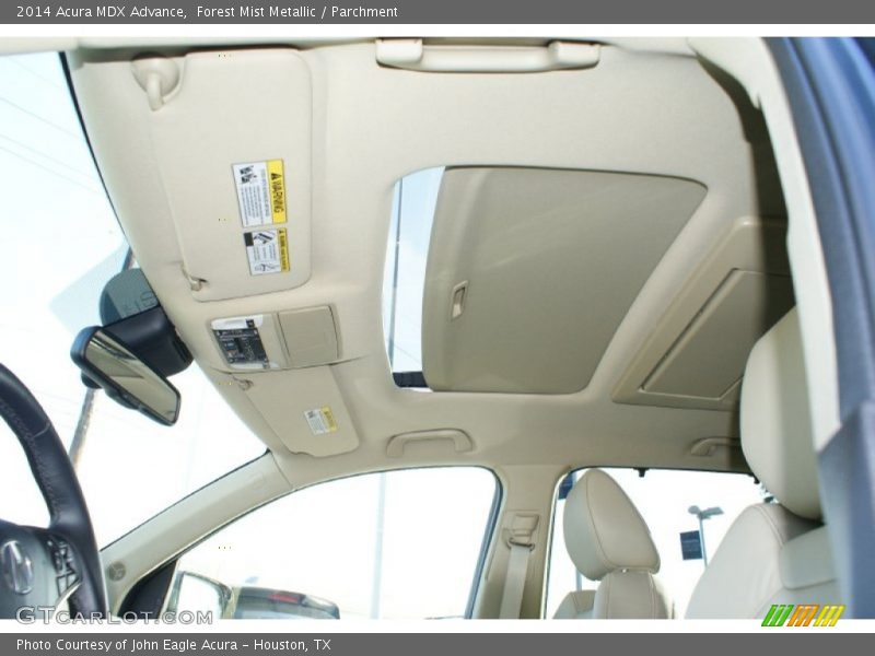 Forest Mist Metallic / Parchment 2014 Acura MDX Advance