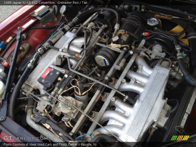 Grenadier Red / Tan 1988 Jaguar XJ XJS V12 Convertible