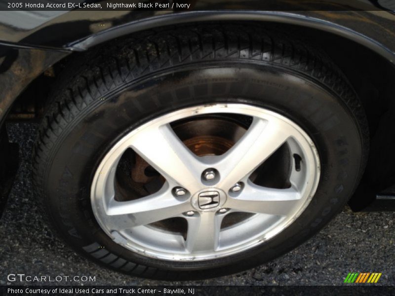 Nighthawk Black Pearl / Ivory 2005 Honda Accord EX-L Sedan