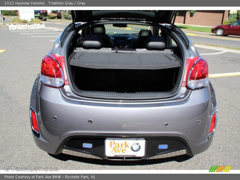 Triathlon Gray / Gray 2012 Hyundai Veloster