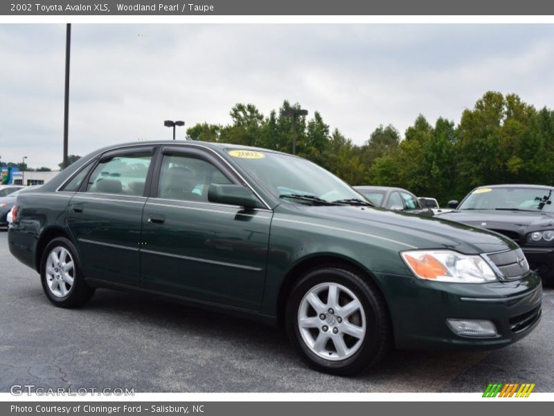 Woodland Pearl / Taupe 2002 Toyota Avalon XLS