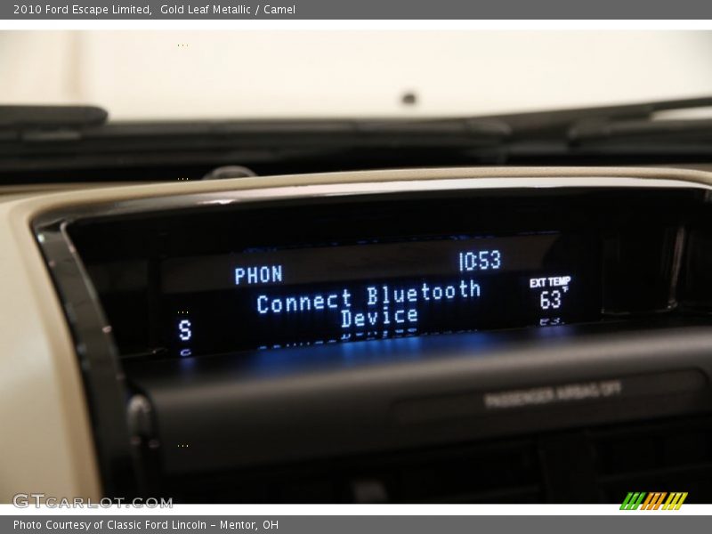 Gold Leaf Metallic / Camel 2010 Ford Escape Limited