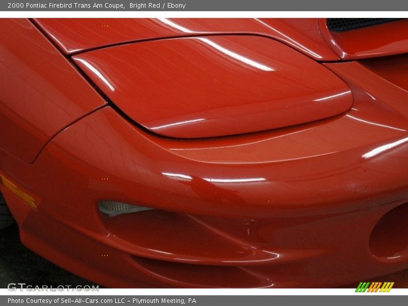 Bright Red / Ebony 2000 Pontiac Firebird Trans Am Coupe