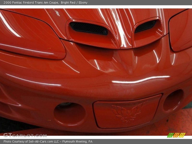Bright Red / Ebony 2000 Pontiac Firebird Trans Am Coupe