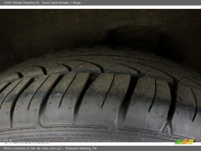 Sunlit Sand Metallic / Beige 1999 Nissan Maxima SE