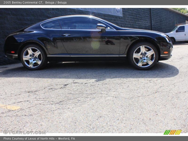 Beluga / Beluga 2005 Bentley Continental GT