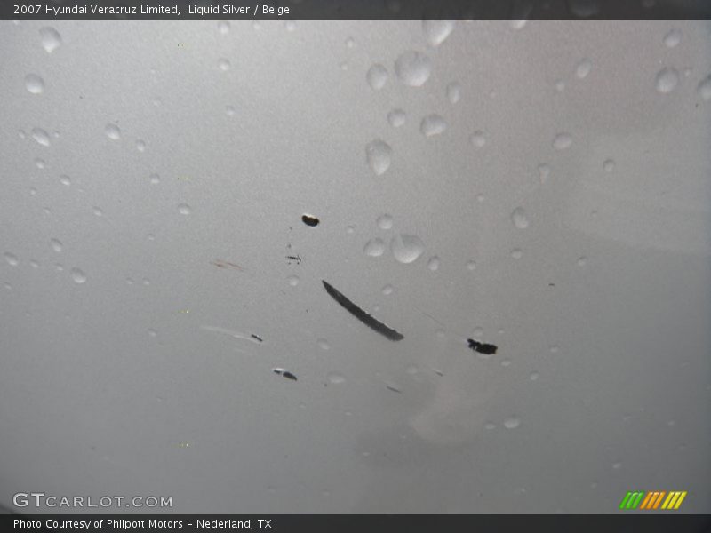 Liquid Silver / Beige 2007 Hyundai Veracruz Limited