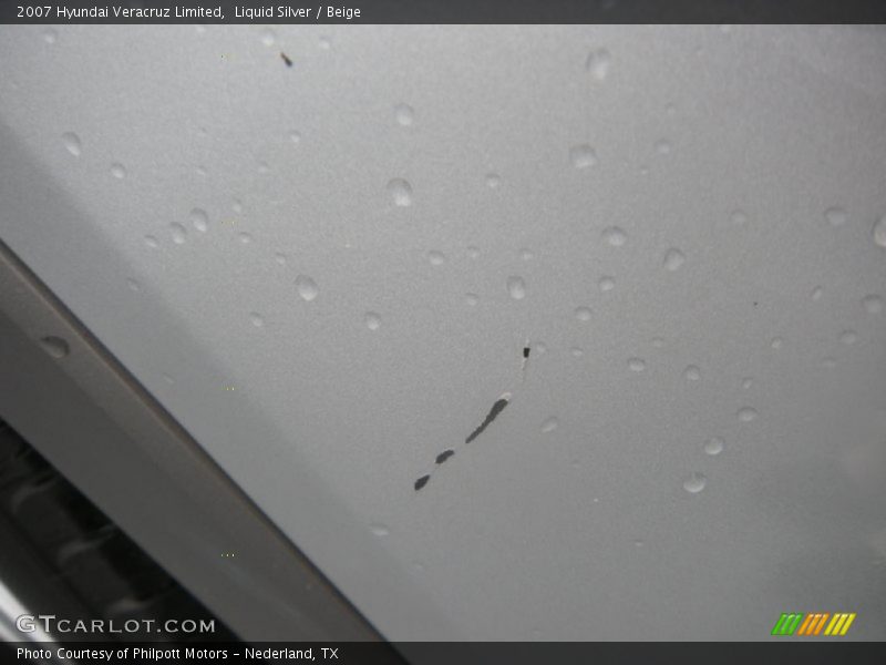Liquid Silver / Beige 2007 Hyundai Veracruz Limited