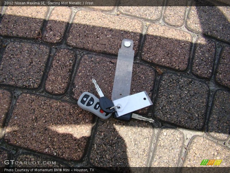Sterling Mist Metallic / Frost 2002 Nissan Maxima SE