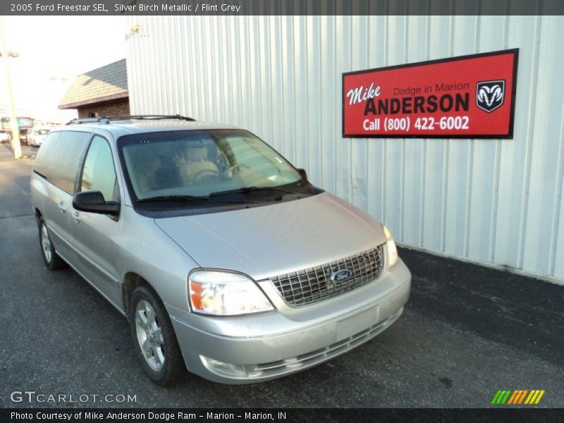 Silver Birch Metallic / Flint Grey 2005 Ford Freestar SEL