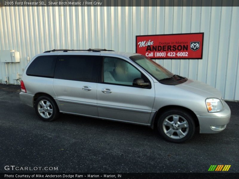 Silver Birch Metallic / Flint Grey 2005 Ford Freestar SEL