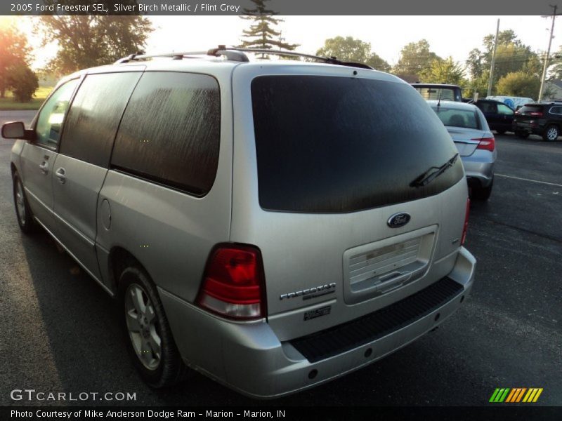 Silver Birch Metallic / Flint Grey 2005 Ford Freestar SEL