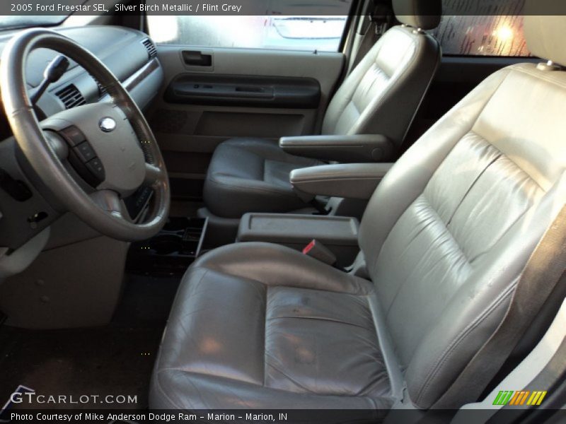 Silver Birch Metallic / Flint Grey 2005 Ford Freestar SEL