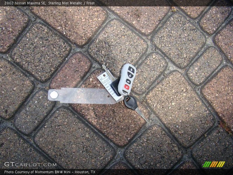 Sterling Mist Metallic / Frost 2002 Nissan Maxima SE