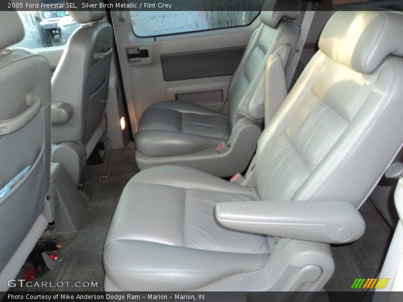 Silver Birch Metallic / Flint Grey 2005 Ford Freestar SEL