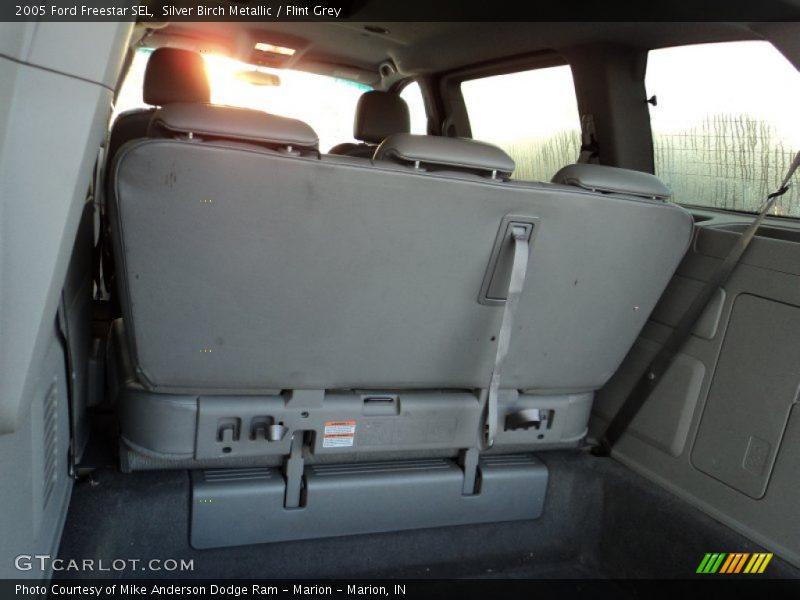 Silver Birch Metallic / Flint Grey 2005 Ford Freestar SEL