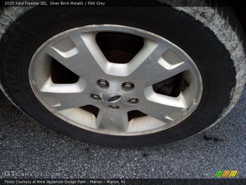 Silver Birch Metallic / Flint Grey 2005 Ford Freestar SEL