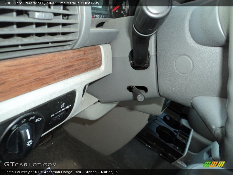 Silver Birch Metallic / Flint Grey 2005 Ford Freestar SEL