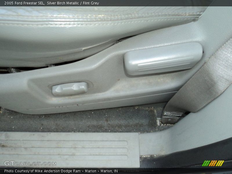 Silver Birch Metallic / Flint Grey 2005 Ford Freestar SEL