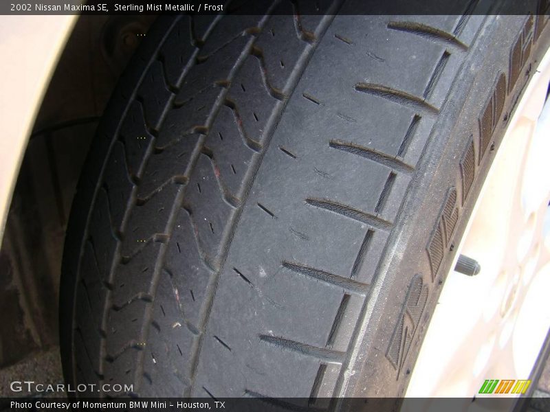 Sterling Mist Metallic / Frost 2002 Nissan Maxima SE