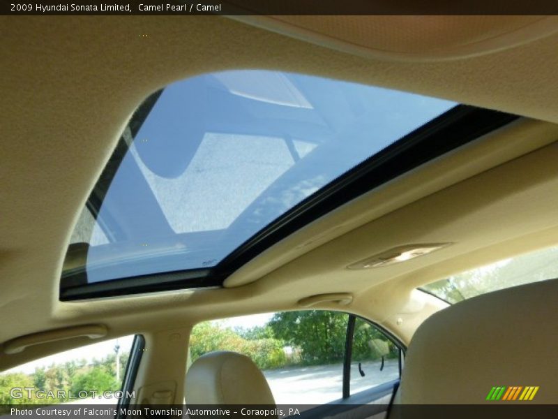 Camel Pearl / Camel 2009 Hyundai Sonata Limited