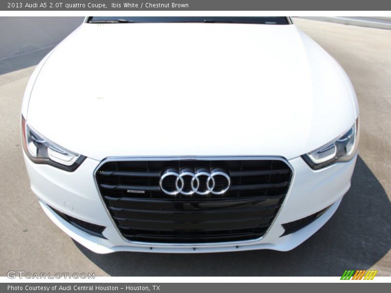 Ibis White / Chestnut Brown 2013 Audi A5 2.0T quattro Coupe