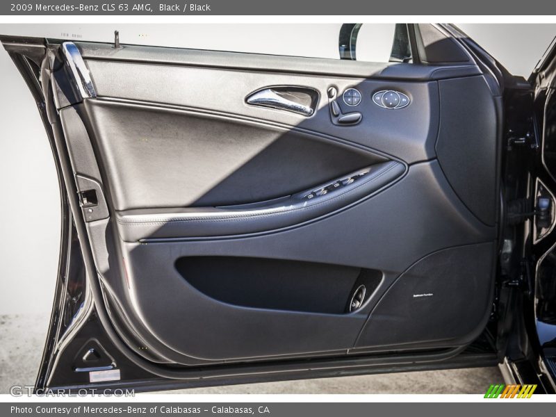 Door Panel of 2009 CLS 63 AMG
