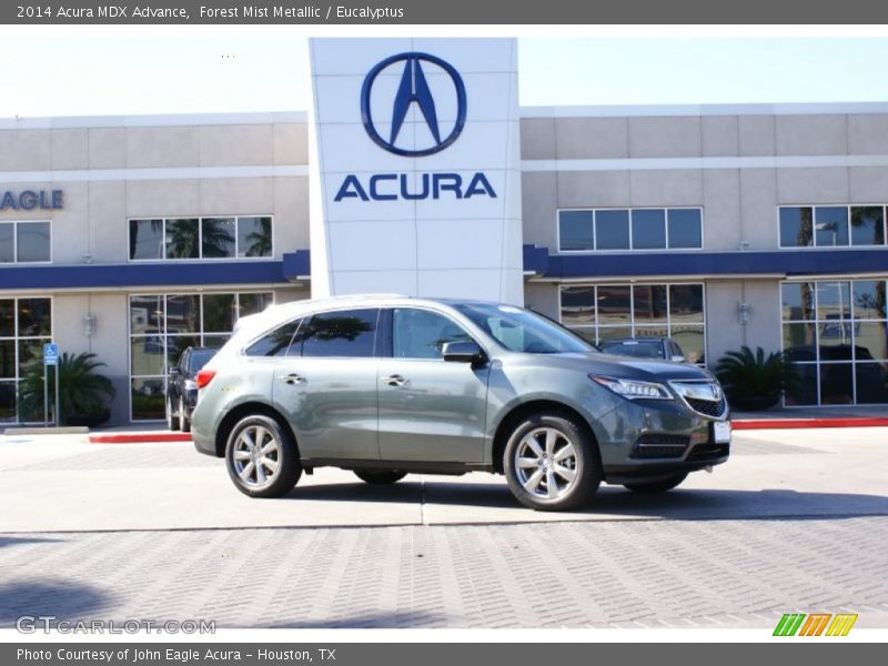 Forest Mist Metallic / Eucalyptus 2014 Acura MDX Advance