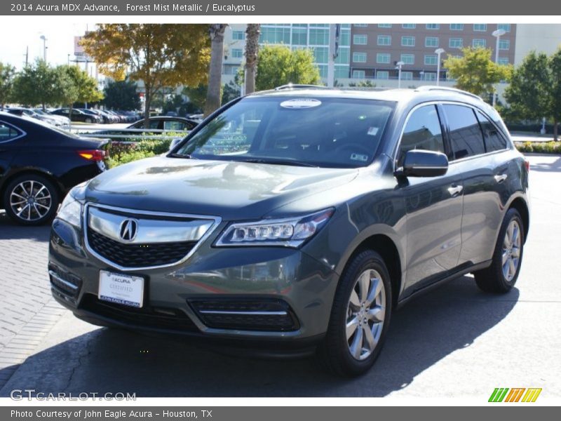 Forest Mist Metallic / Eucalyptus 2014 Acura MDX Advance