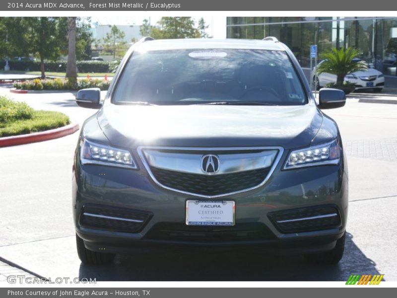 Forest Mist Metallic / Eucalyptus 2014 Acura MDX Advance