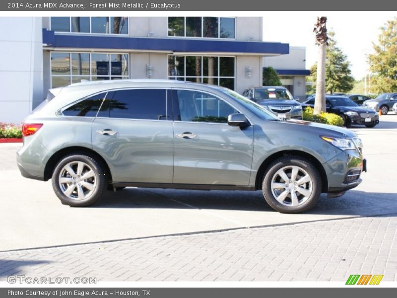 Forest Mist Metallic / Eucalyptus 2014 Acura MDX Advance