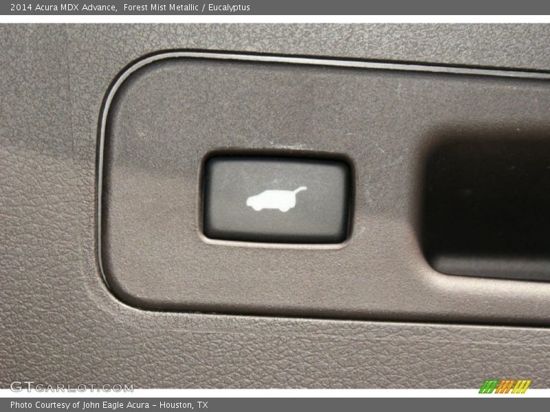 Forest Mist Metallic / Eucalyptus 2014 Acura MDX Advance