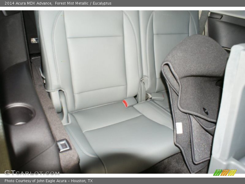 Forest Mist Metallic / Eucalyptus 2014 Acura MDX Advance