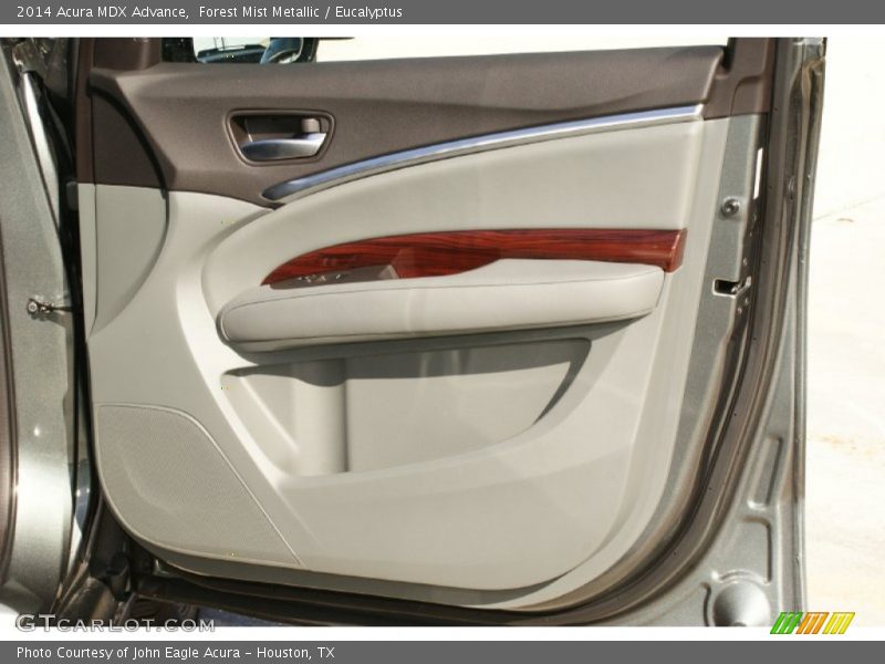 Forest Mist Metallic / Eucalyptus 2014 Acura MDX Advance