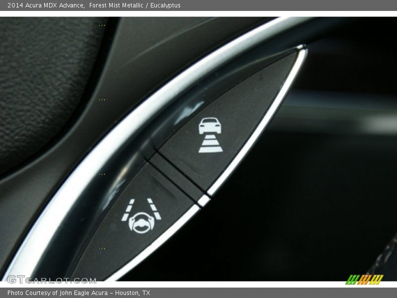 Forest Mist Metallic / Eucalyptus 2014 Acura MDX Advance