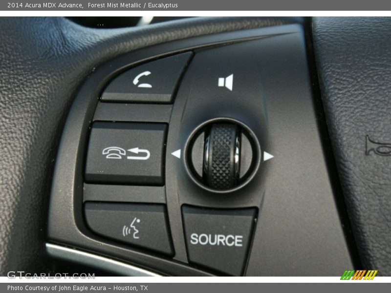 Forest Mist Metallic / Eucalyptus 2014 Acura MDX Advance