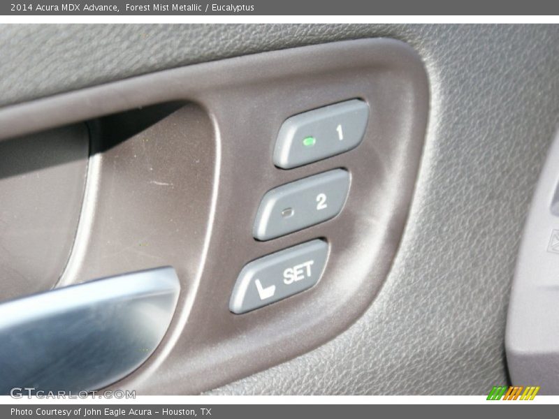 Forest Mist Metallic / Eucalyptus 2014 Acura MDX Advance