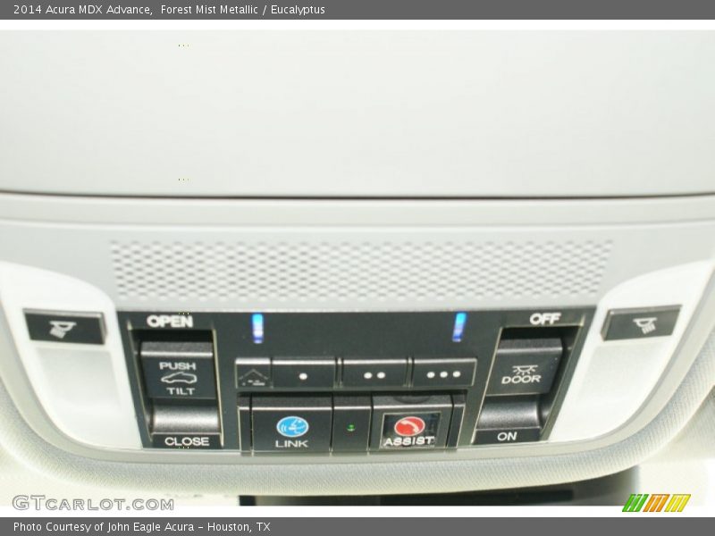 Forest Mist Metallic / Eucalyptus 2014 Acura MDX Advance