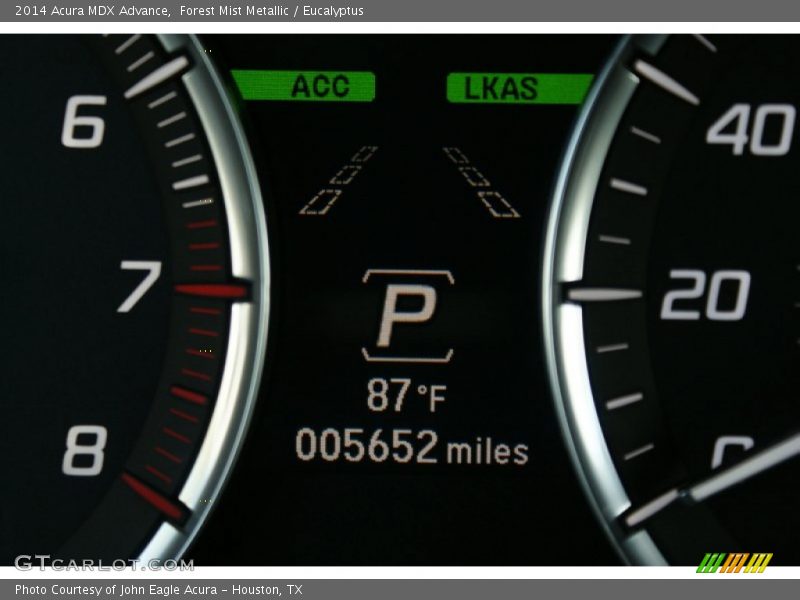 Forest Mist Metallic / Eucalyptus 2014 Acura MDX Advance