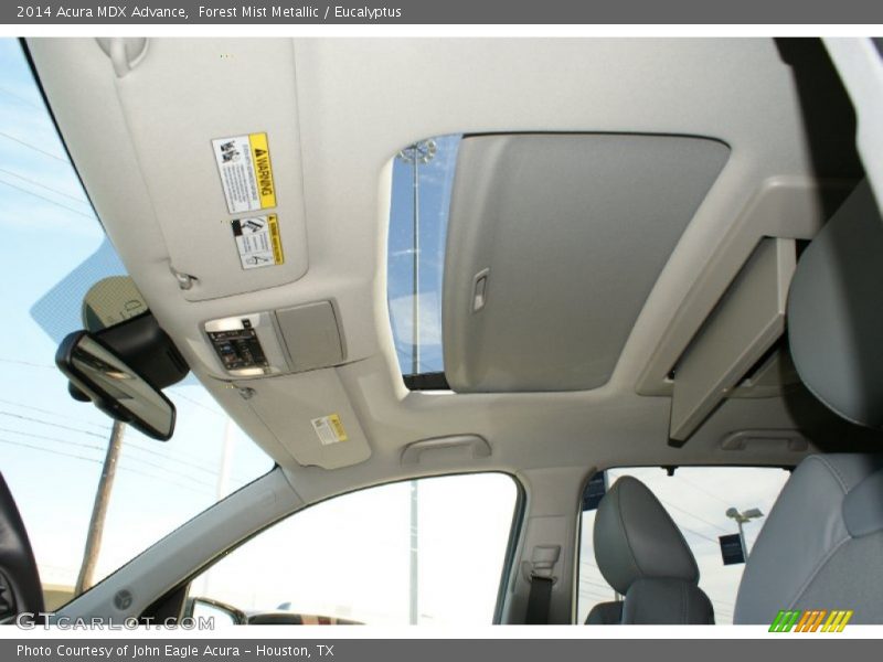 Forest Mist Metallic / Eucalyptus 2014 Acura MDX Advance