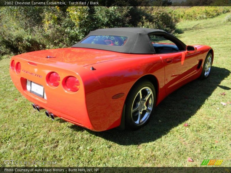 Torch Red / Black 2002 Chevrolet Corvette Convertible