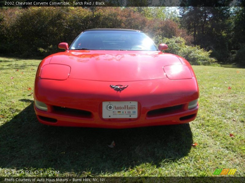Torch Red / Black 2002 Chevrolet Corvette Convertible