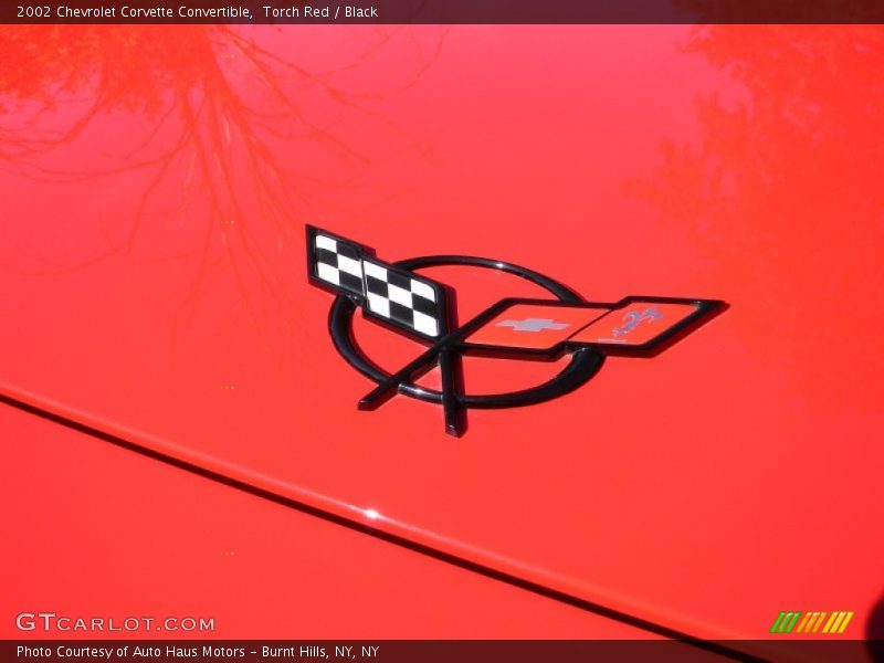 Torch Red / Black 2002 Chevrolet Corvette Convertible