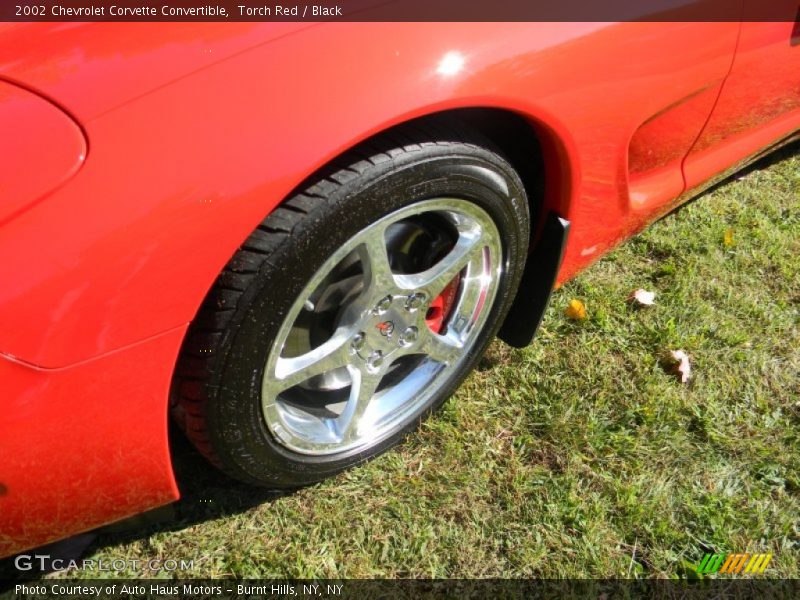 Torch Red / Black 2002 Chevrolet Corvette Convertible