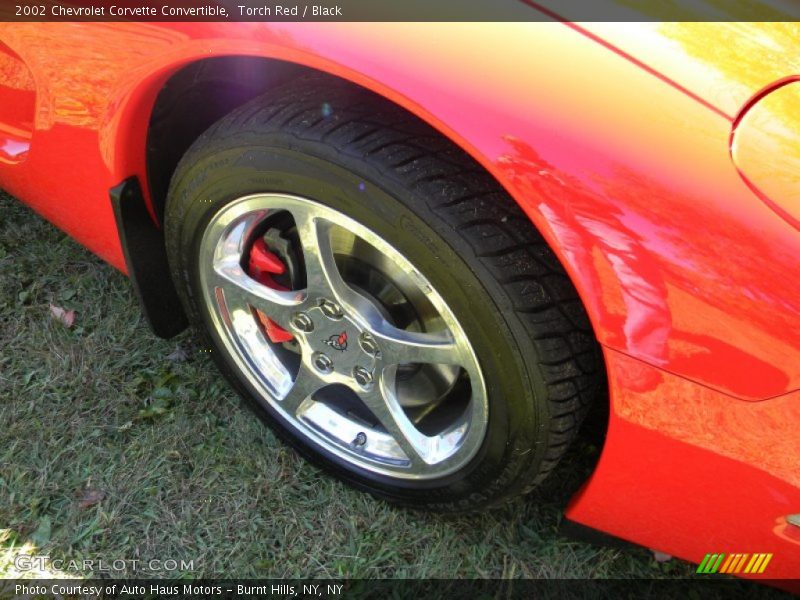 Torch Red / Black 2002 Chevrolet Corvette Convertible