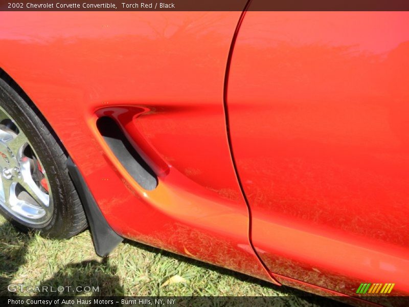 Torch Red / Black 2002 Chevrolet Corvette Convertible