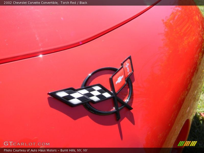 Torch Red / Black 2002 Chevrolet Corvette Convertible