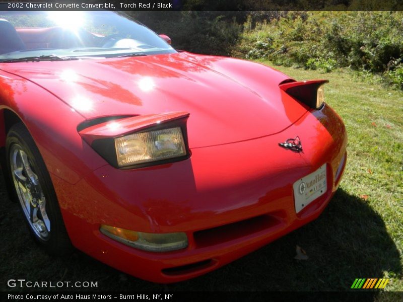 Torch Red / Black 2002 Chevrolet Corvette Convertible