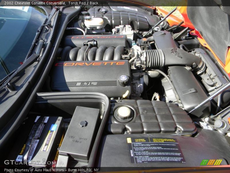Torch Red / Black 2002 Chevrolet Corvette Convertible