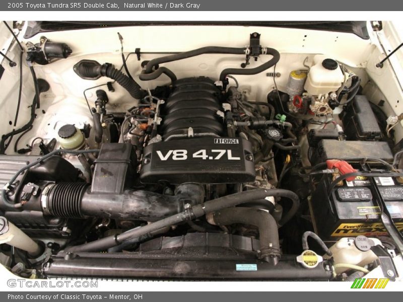 Natural White / Dark Gray 2005 Toyota Tundra SR5 Double Cab